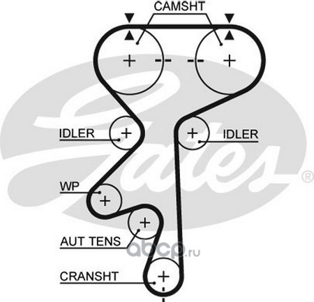 РЕМЕНЬ ГРМ HOVER H5 ДИЗЕЛЬ