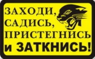 Наклейка Заходи,садись,пристегнись и заткнись ж/ч  (85*135)