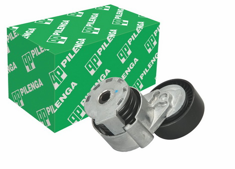 Ролик натяжитель ремня генер. Logan, Megane II, Sandero, Largus, (16кл), без конд. (с кронштейном)