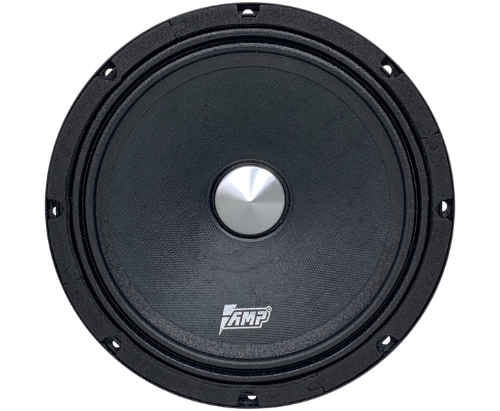 AMP Динамик Hybrid FR65M20 16см широкополосный эстрадный, 200Вт